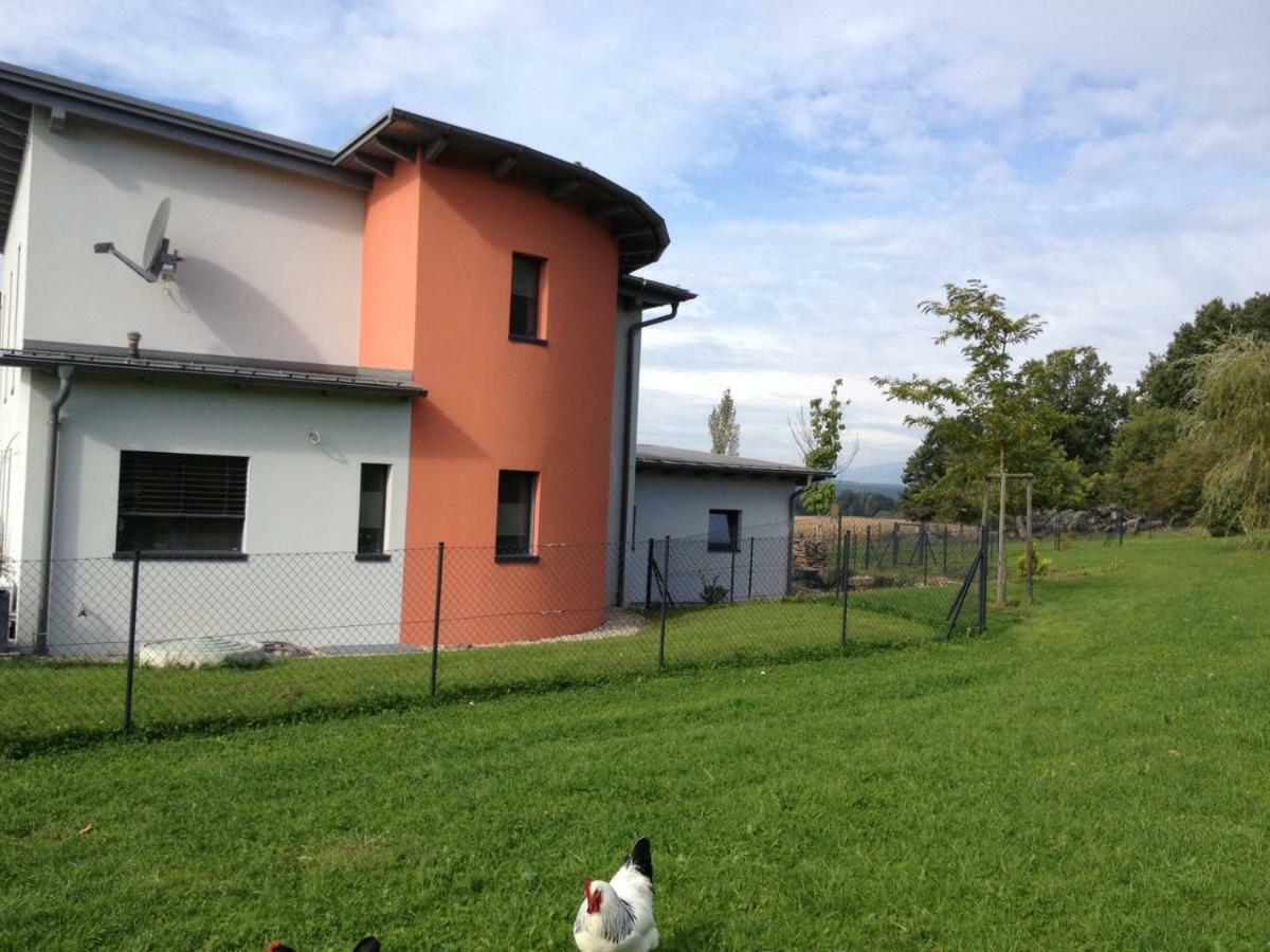 Haus Luna - Privatzimmer Im Sonnigen Suedburgenland Hackerberg Exterior photo